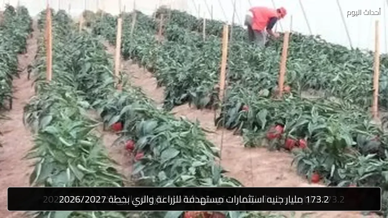 173.2 مليار جنيه استثمارات مستهدفة للزراعة والري بخطة 2026/2027