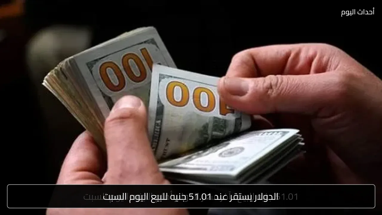 الدولار يستقر عند 51.01 جنيه للبيع اليوم السبت
