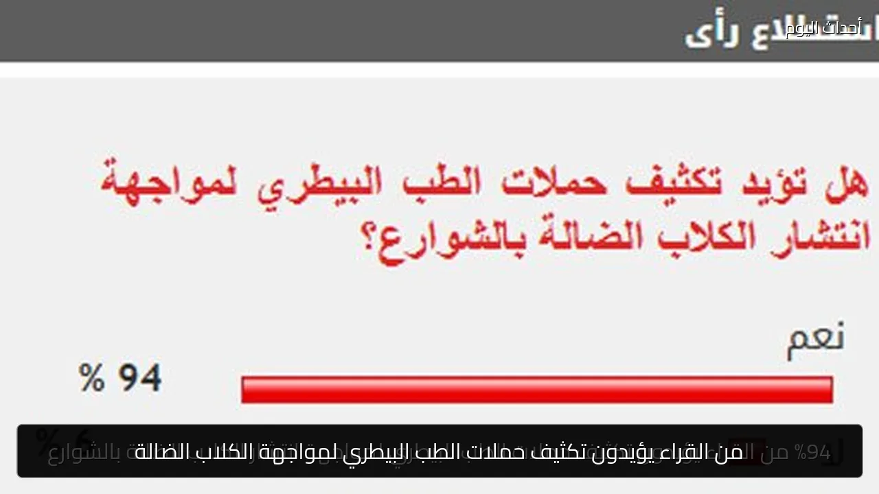 من القراء يؤيدون تكثيف حملات الطب البيطري لمواجهة الكلاب الضالة