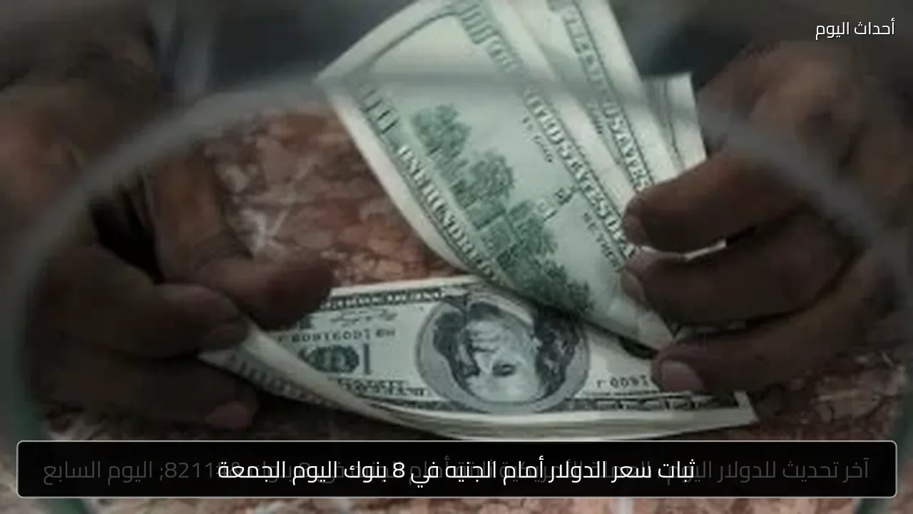 ثبات سعر الدولار أمام الجنيه في 8 بنوك اليوم الجمعة