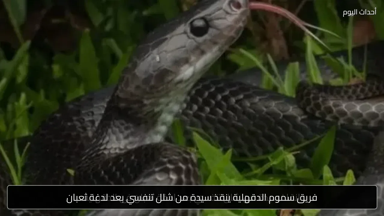 فريق سموم الدقهلية ينقذ سيدة من شلل تنفسي بعد لدغة ثعبان
