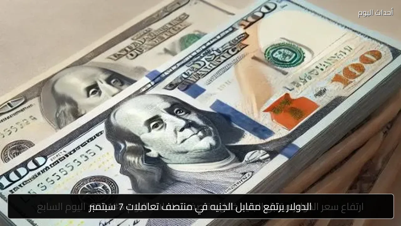 الدولار يرتفع مقابل الجنيه في منتصف تعاملات 7 سبتمبر