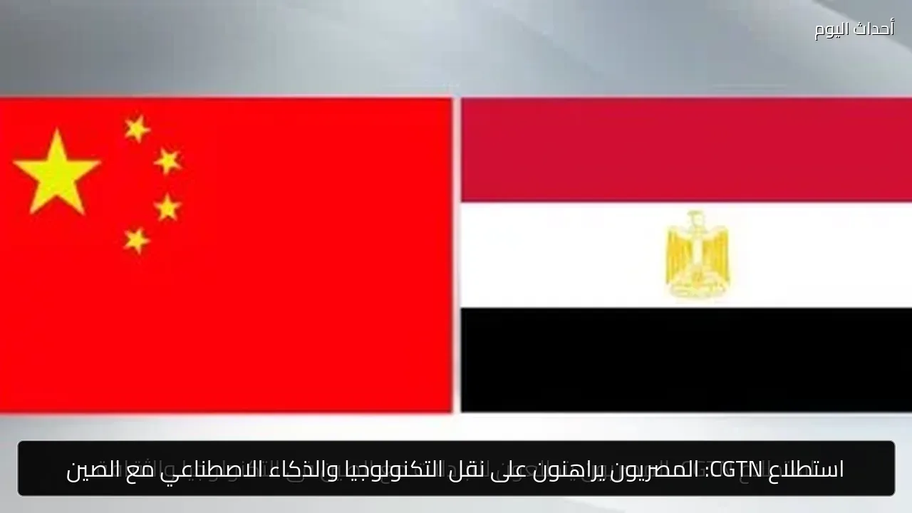 استطلاع CGTN: المصريون يراهنون على نقل التكنولوجيا والذكاء الاصطناعي مع الصين