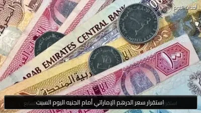استقرار سعر الدرهم الإماراتي أمام الجنيه اليوم السبت