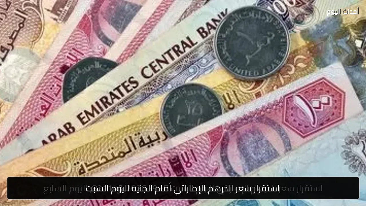 استقرار سعر الدرهم الإماراتي أمام الجنيه اليوم السبت