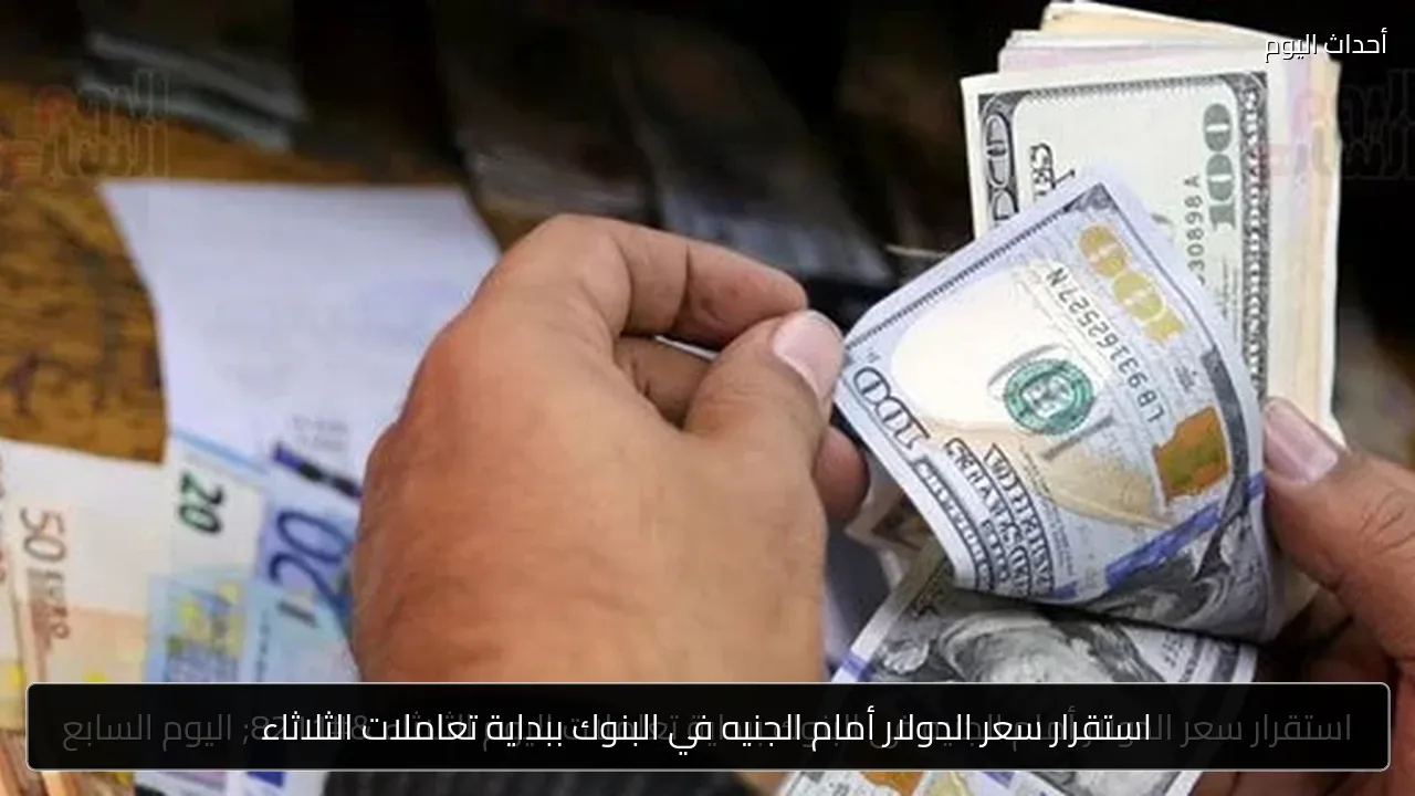 استقرار سعر الدولار أمام الجنيه في البنوك ببداية تعاملات الثلاثاء