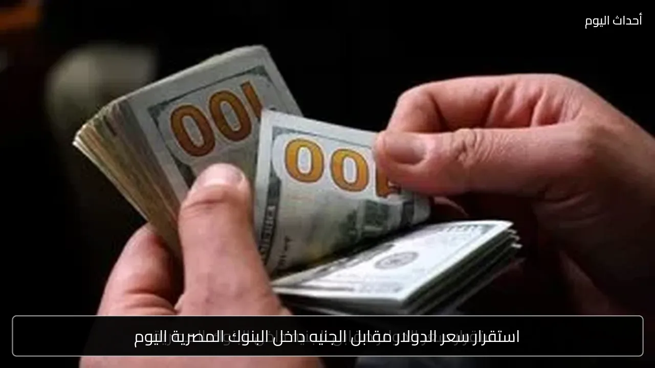 استقرار سعر الدولار مقابل الجنيه داخل البنوك المصرية اليوم