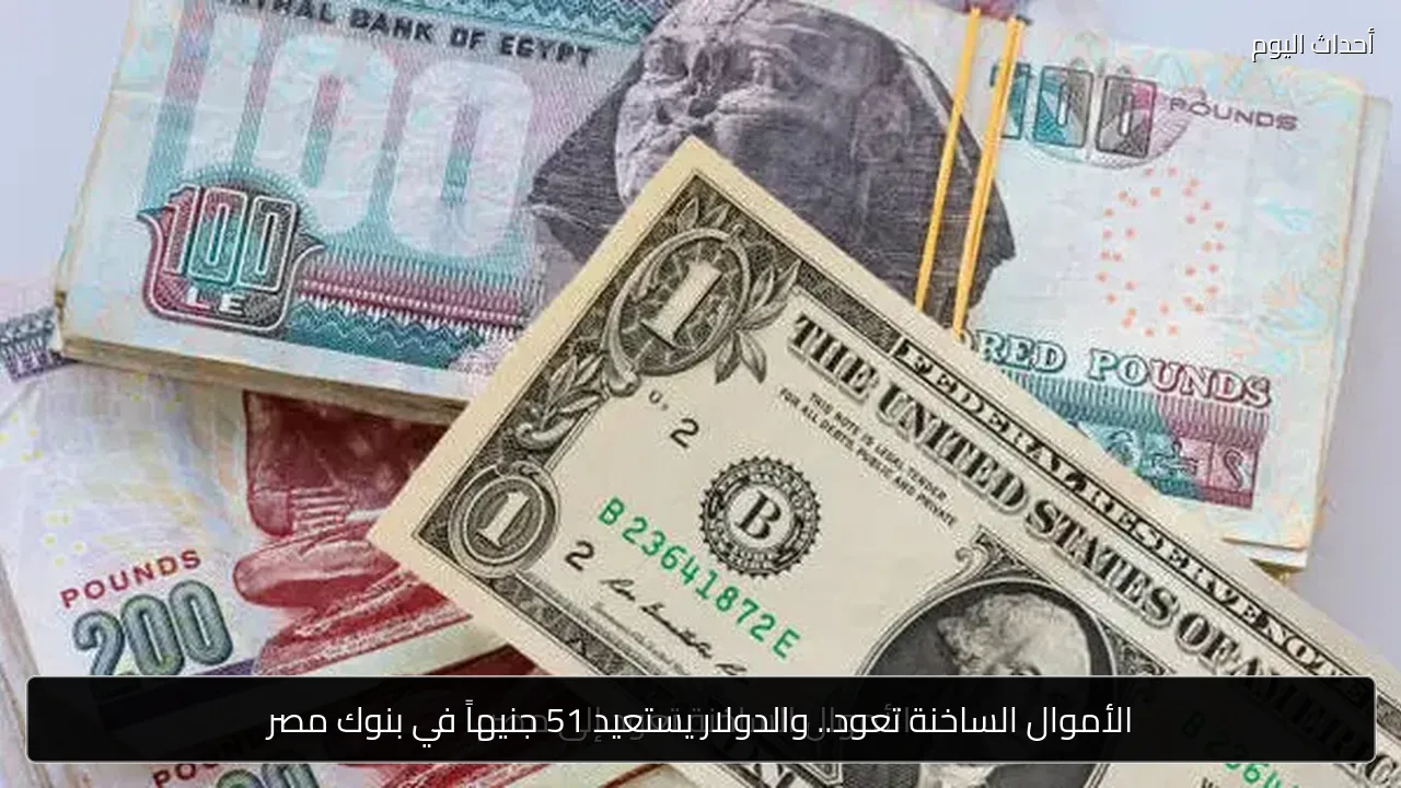 الأموال الساخنة تعود.. والدولار يستعيد 51 جنيهاً في بنوك مصر