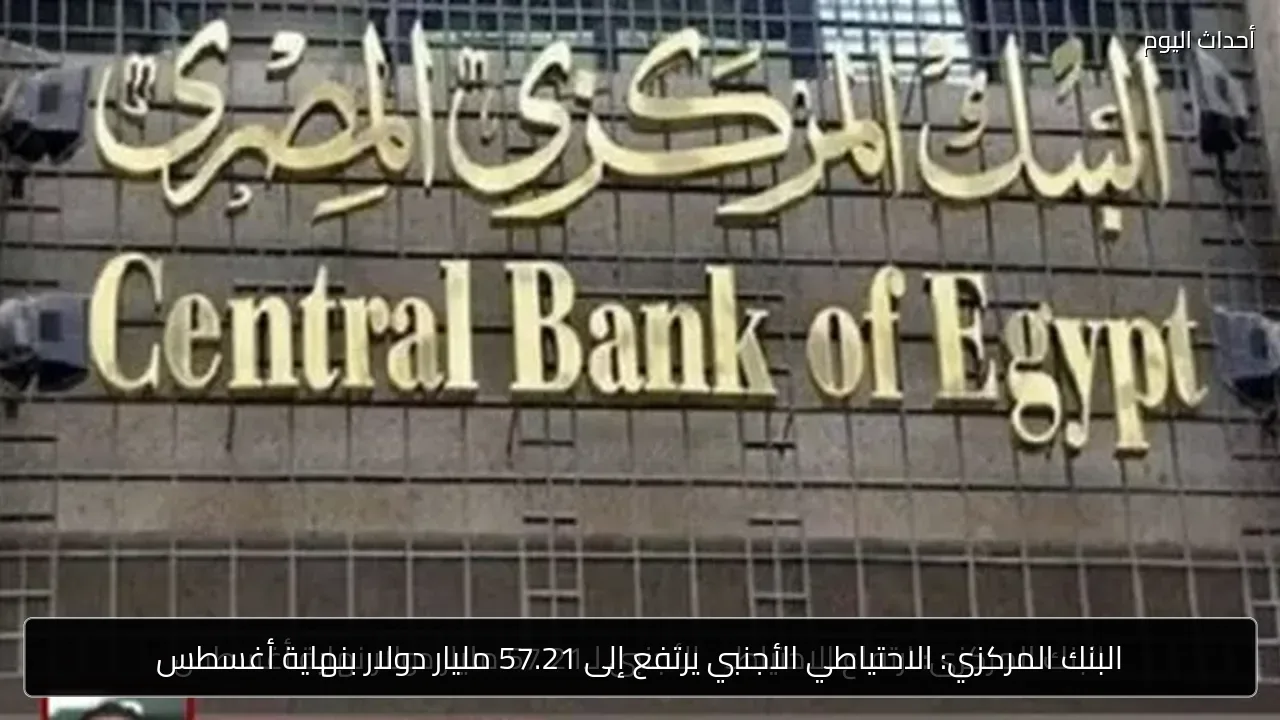البنك المركزي: الاحتياطي الأجنبي يرتفع إلى 57.21 مليار دولار بنهاية أغسطس