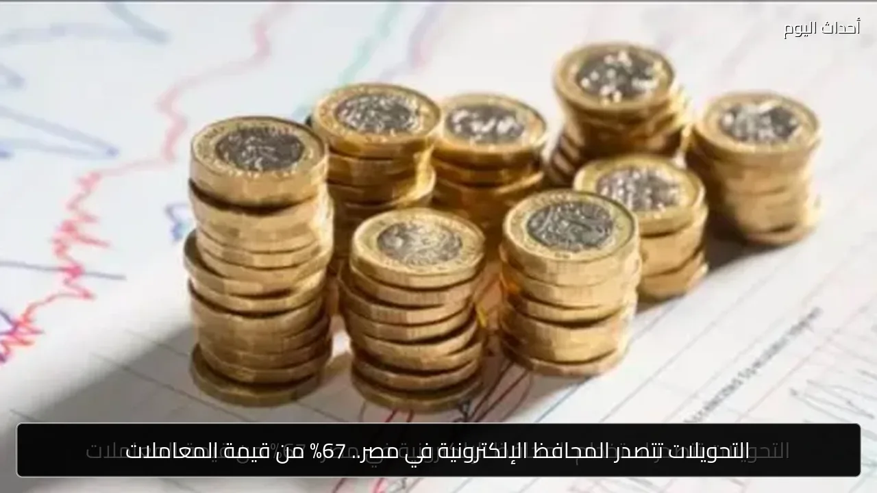 التحويلات تتصدر المحافظ الإلكترونية في مصر.. 67% من قيمة المعاملات