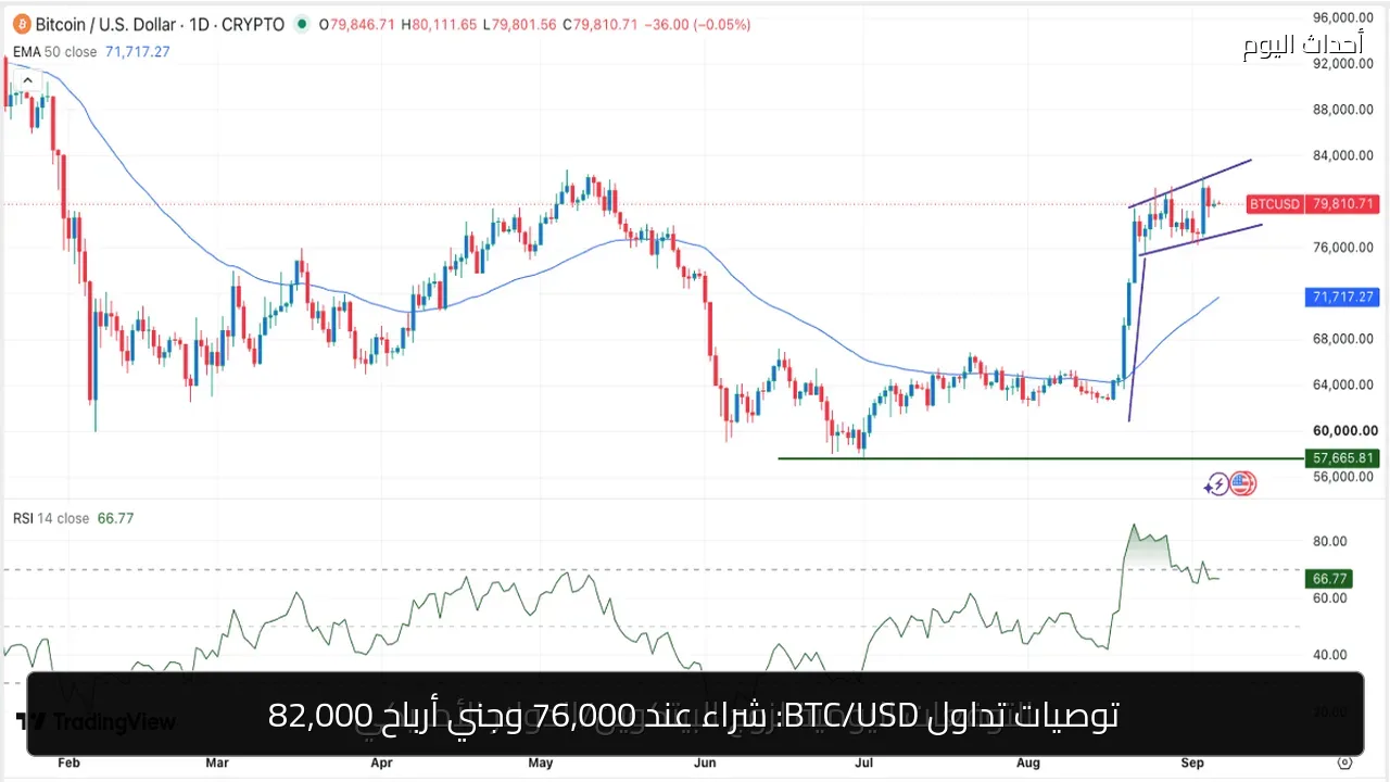 توصيات تداول BTC/USD: شراء عند 76,000 وجني أرباح 82,000