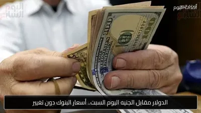 الدولار مقابل الجنيه اليوم السبت.. أسعار البنوك دون تغيير