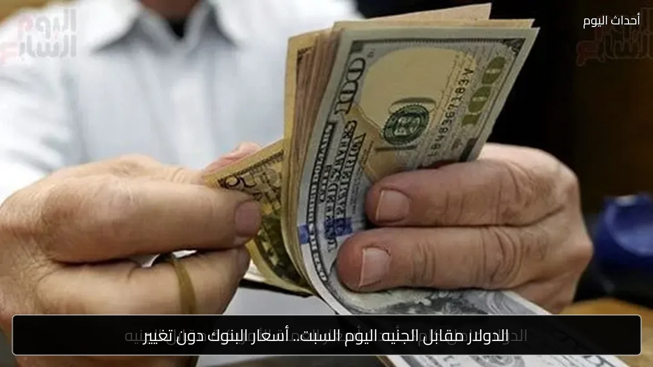الدولار مقابل الجنيه اليوم السبت.. أسعار البنوك دون تغيير