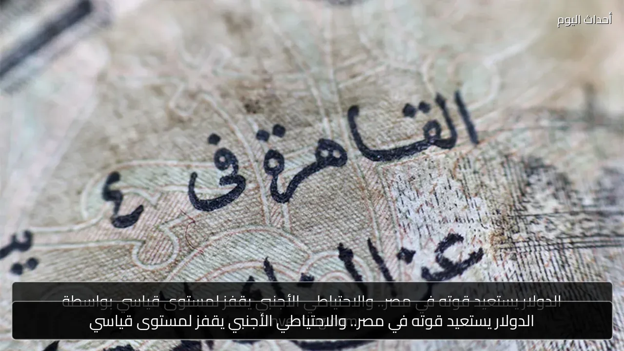 الدولار يستعيد قوته في مصر.. والاحتياطي الأجنبي يقفز لمستوى قياسي
