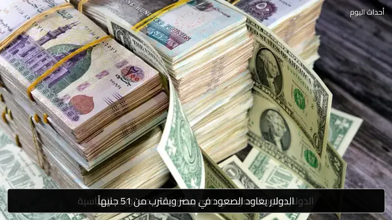 الدولار يعاود الصعود في مصر ويقترب من 51 جنيهاً
