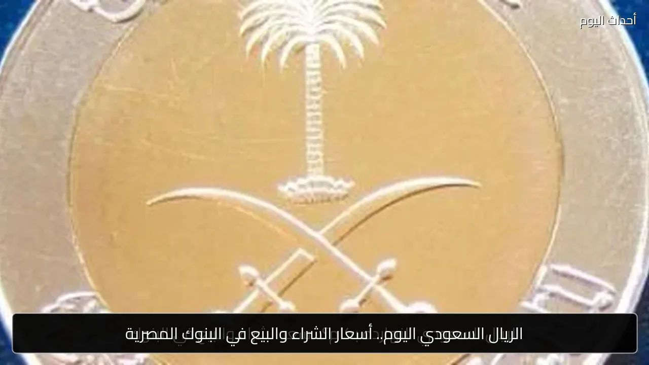 الريال السعودي اليوم.. أسعار الشراء والبيع في البنوك المصرية