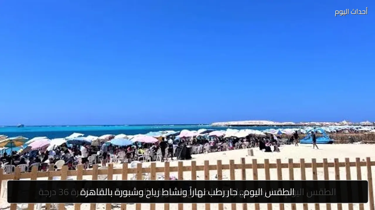الطقس اليوم.. حار رطب نهاراً ونشاط رياح وشبورة بالقاهرة