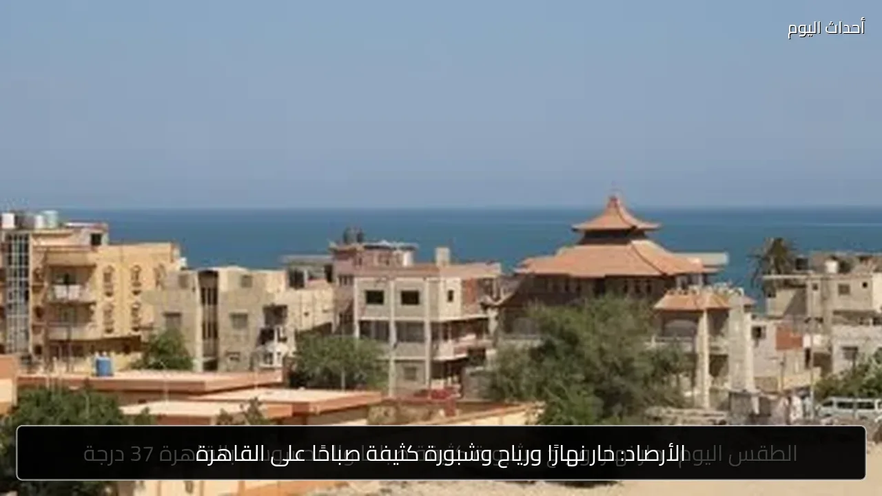 الأرصاد: حار نهارًا ورياح وشبورة كثيفة صباحًا على القاهرة
