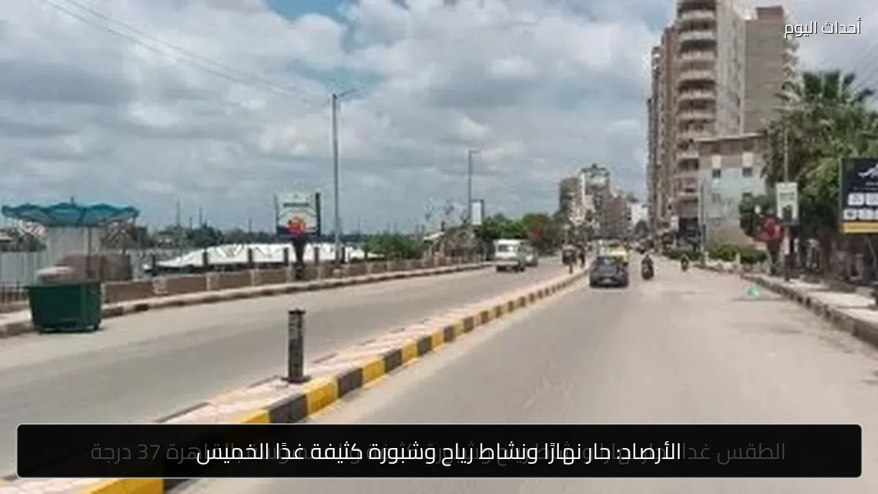 الأرصاد: حار نهارًا ونشاط رياح وشبورة كثيفة غدًا الخميس