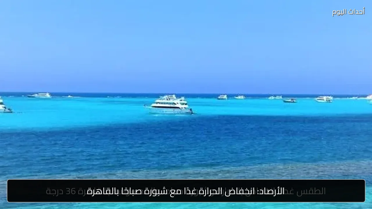 الأرصاد: انخفاض الحرارة غدًا مع شبورة صباحًا بالقاهرة