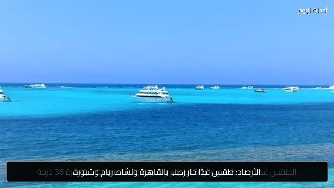 الأرصاد: طقس غدًا حار رطب بالقاهرة ونشاط رياح وشبورة