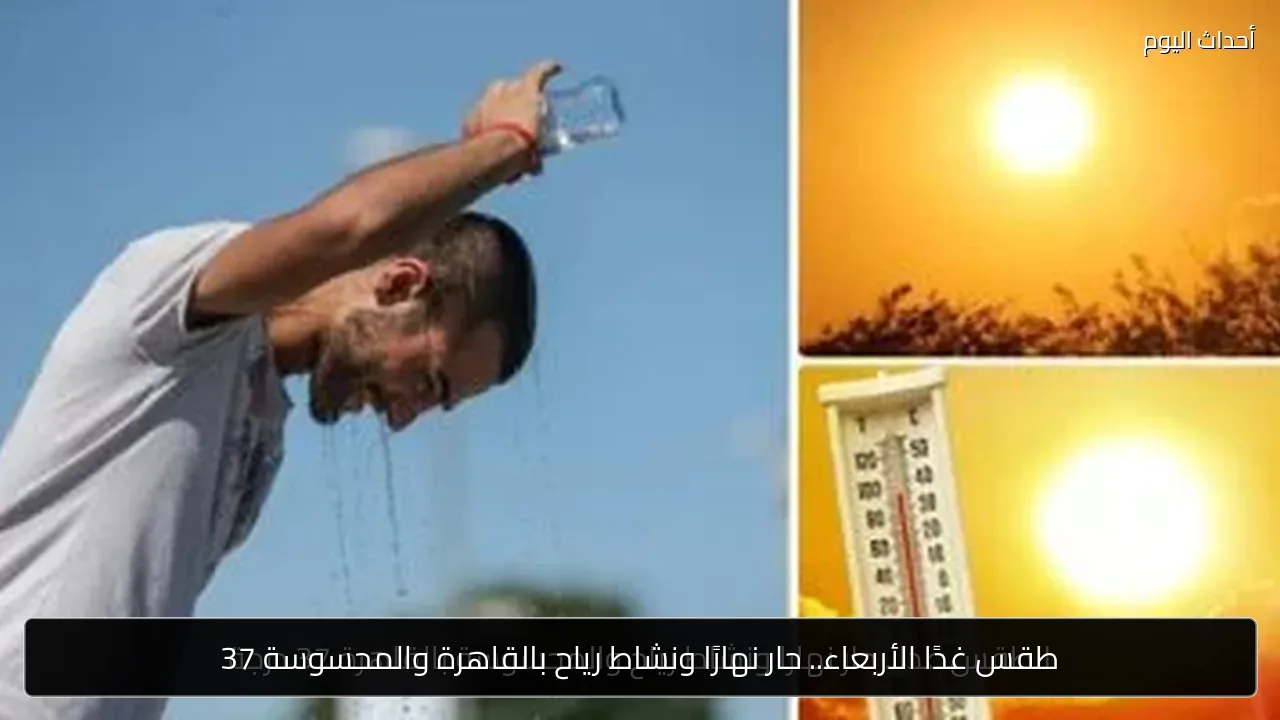 طقس غدًا الأربعاء.. حار نهارًا ونشاط رياح بالقاهرة والمحسوسة 37