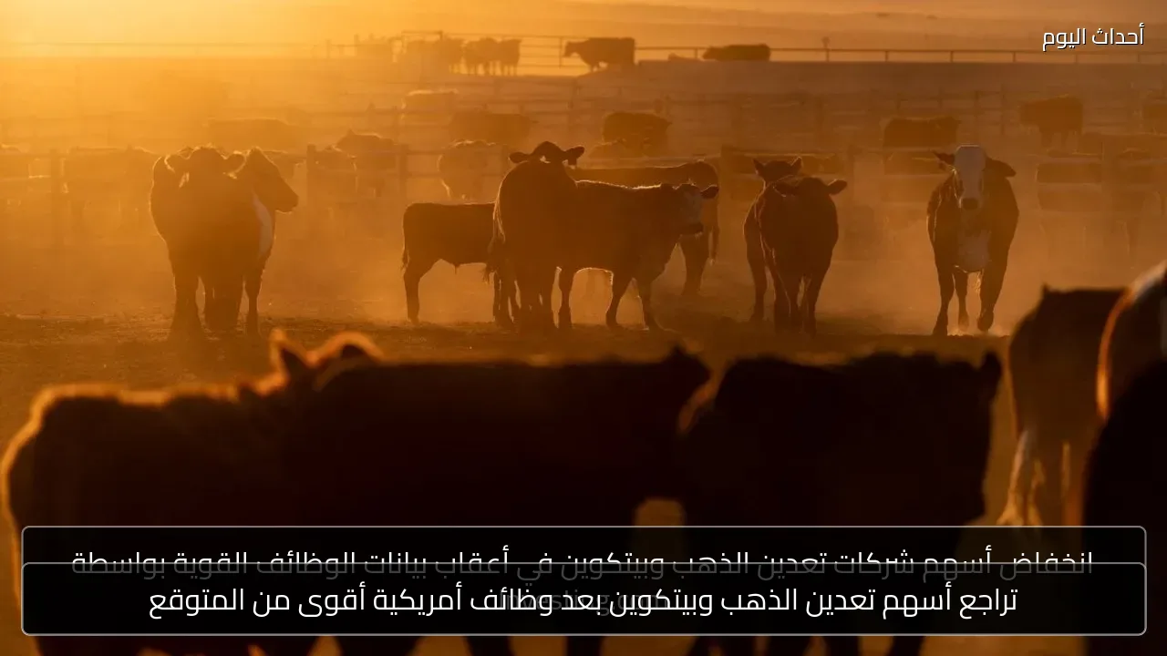 تراجع أسهم تعدين الذهب وبيتكوين بعد وظائف أمريكية أقوى من المتوقع