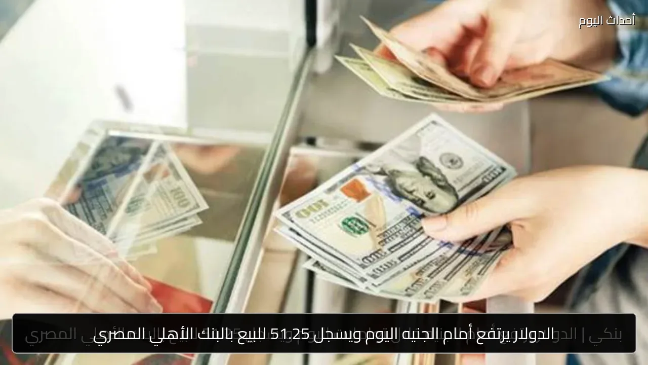 الدولار يرتفع أمام الجنيه اليوم ويسجل 51.25 للبيع بالبنك الأهلي المصري