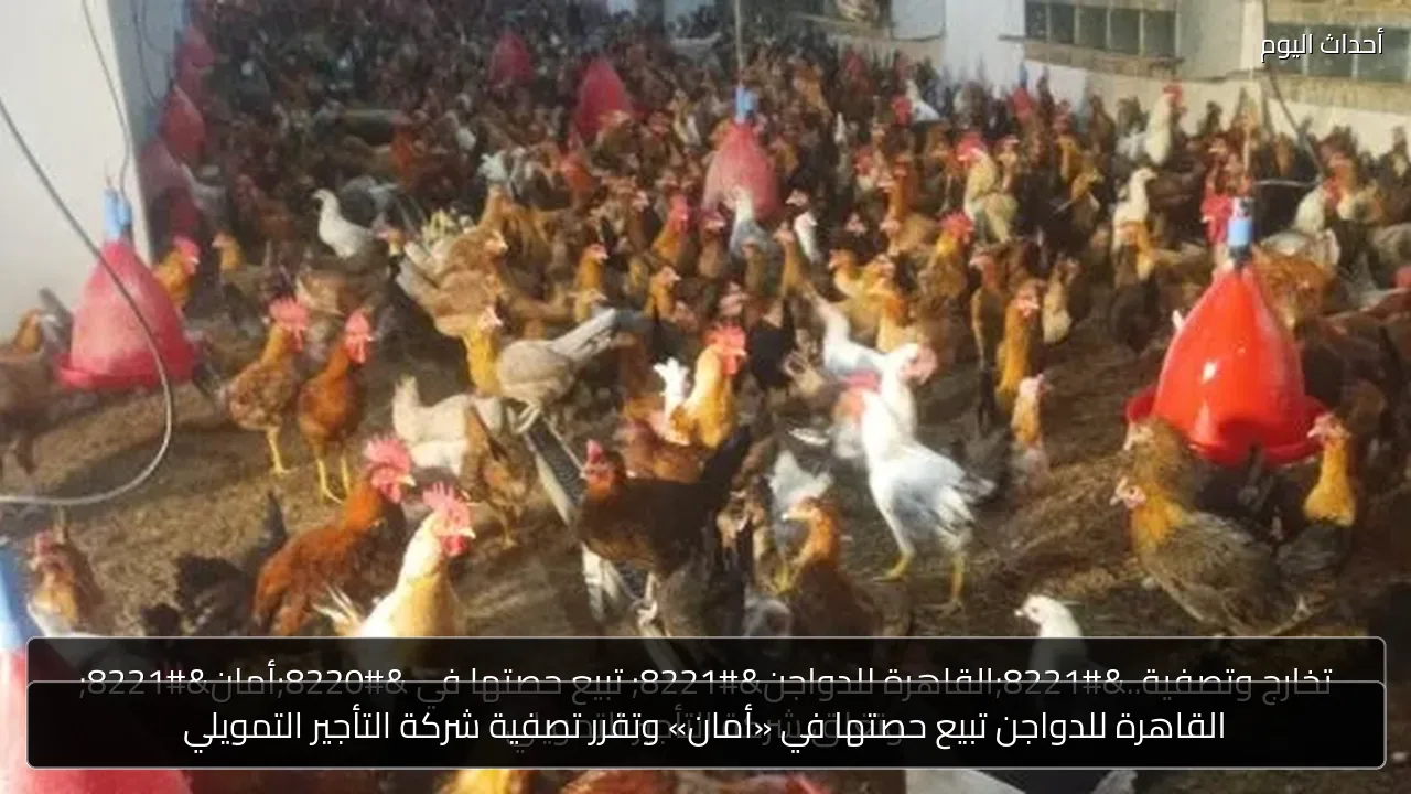 القاهرة للدواجن تبيع حصتها في «أمان» وتقرر تصفية شركة التأجير التمويلي