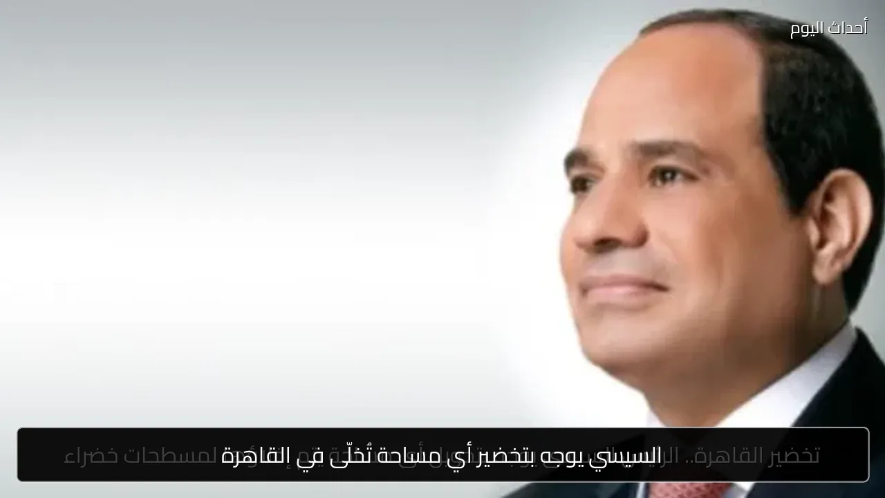 السيسي يوجه بتخضير أي مساحة تُخلّى في القاهرة
