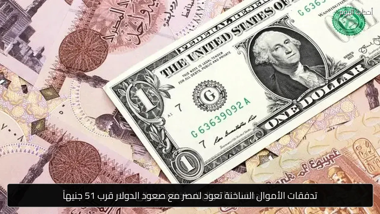 تدفقات الأموال الساخنة تعود لمصر مع صعود الدولار قرب 51 جنيهاً