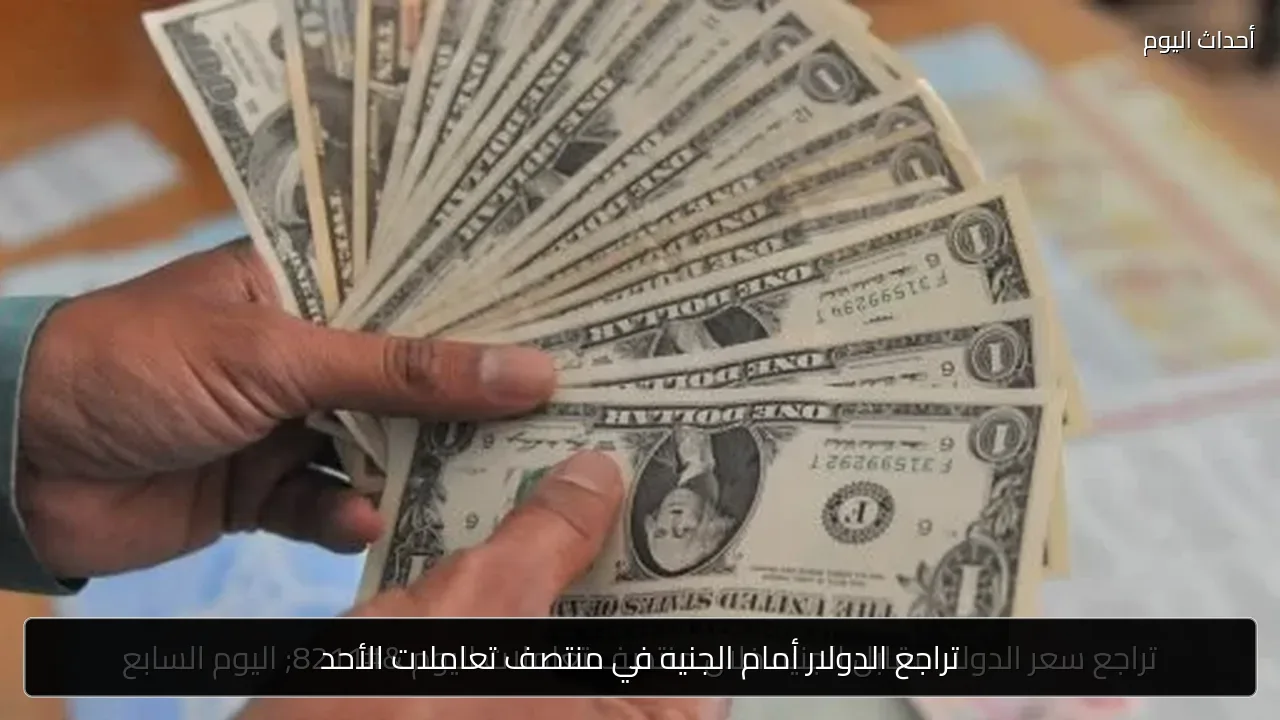 تراجع الدولار أمام الجنيه في منتصف تعاملات الأحد