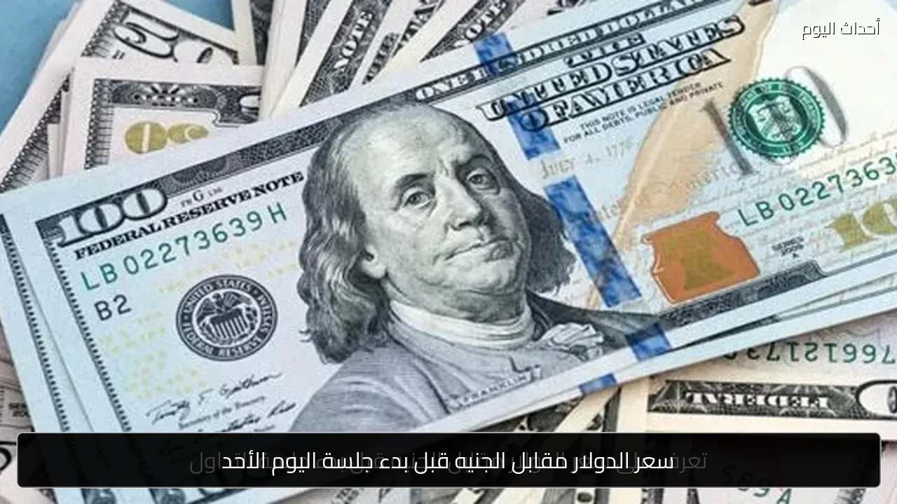 سعر الدولار مقابل الجنيه قبل بدء جلسة اليوم الأحد