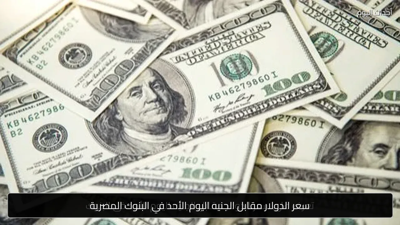 سعر الدولار مقابل الجنيه اليوم الأحد في البنوك المصرية