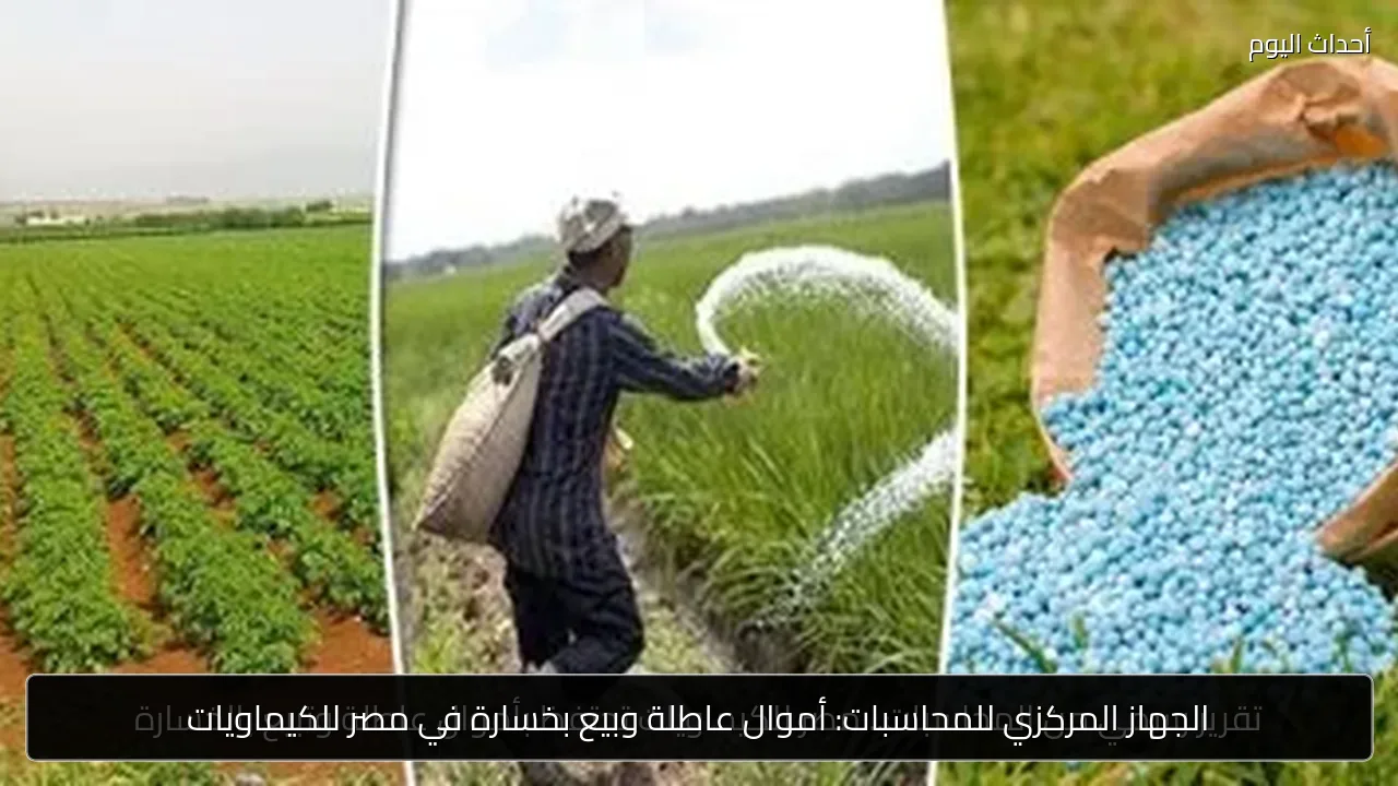 الجهاز المركزي للمحاسبات: أموال عاطلة وبيع بخسارة في مصر للكيماويات