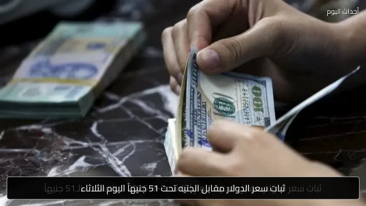 ثبات سعر الدولار مقابل الجنيه تحت 51 جنيهاً اليوم الثلاثاء