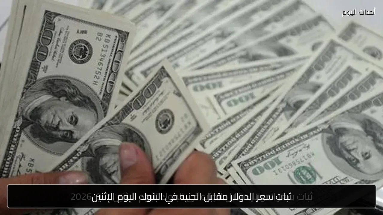 ثبات سعر الدولار مقابل الجنيه في البنوك اليوم الإثنين