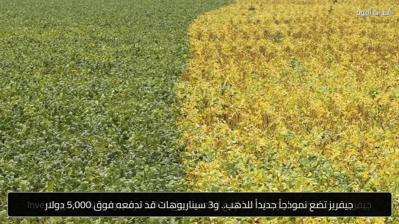 جيفريز تضع نموذجاً جديداً للذهب.. و3 سيناريوهات قد تدفعه فوق 5,000 دولار