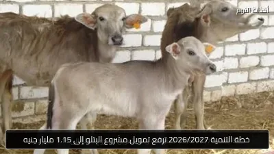خطة التنمية 2026/2027 ترفع تمويل مشروع البتلو إلى 1.15 مليار جنيه