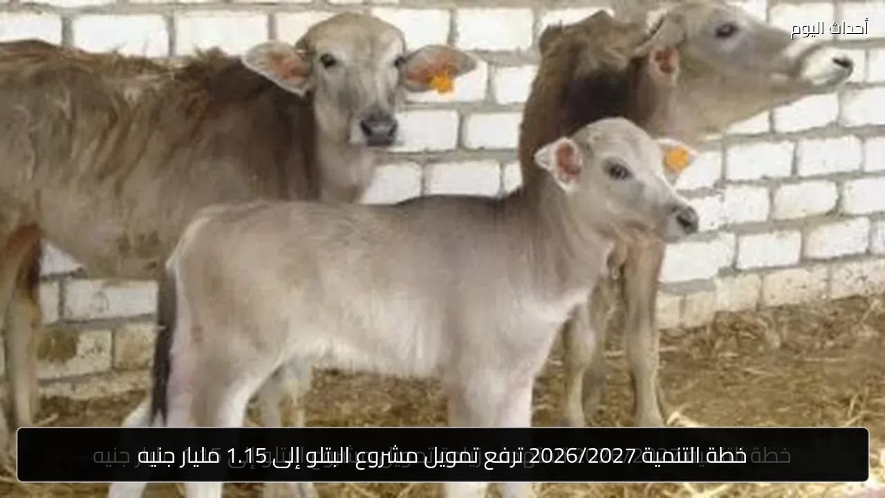 خطة التنمية 2026/2027 ترفع تمويل مشروع البتلو إلى 1.15 مليار جنيه