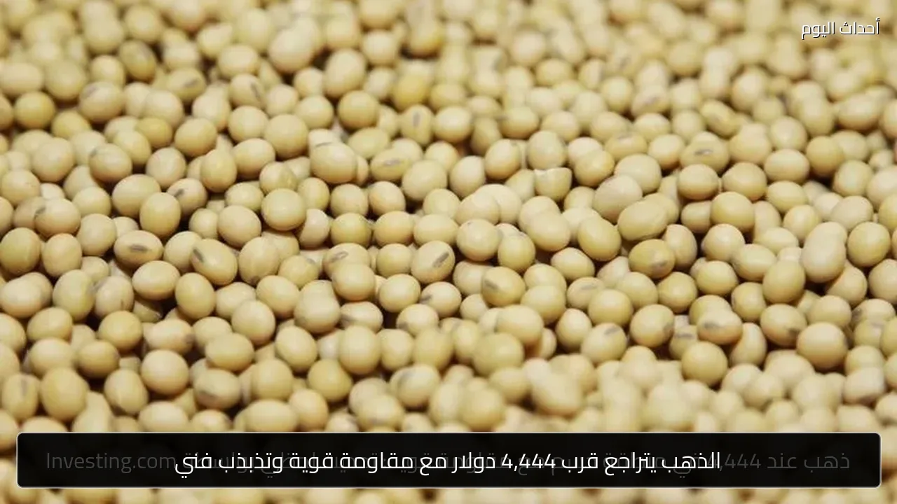 الذهب يتراجع قرب 4,444 دولار مع مقاومة قوية وتذبذب فني