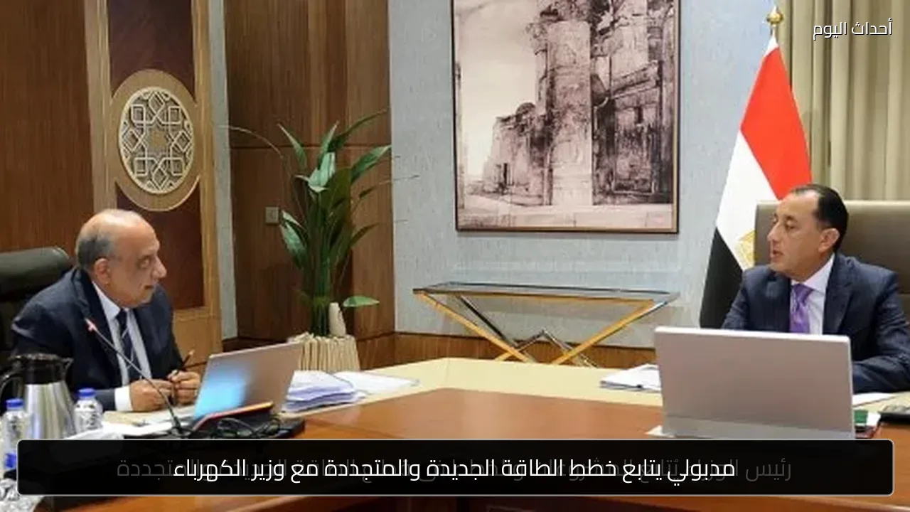 مدبولي يتابع خطط الطاقة الجديدة والمتجددة مع وزير الكهرباء