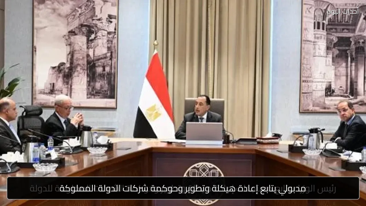 مدبولي يتابع إعادة هيكلة وتطوير وحوكمة شركات الدولة المملوكة