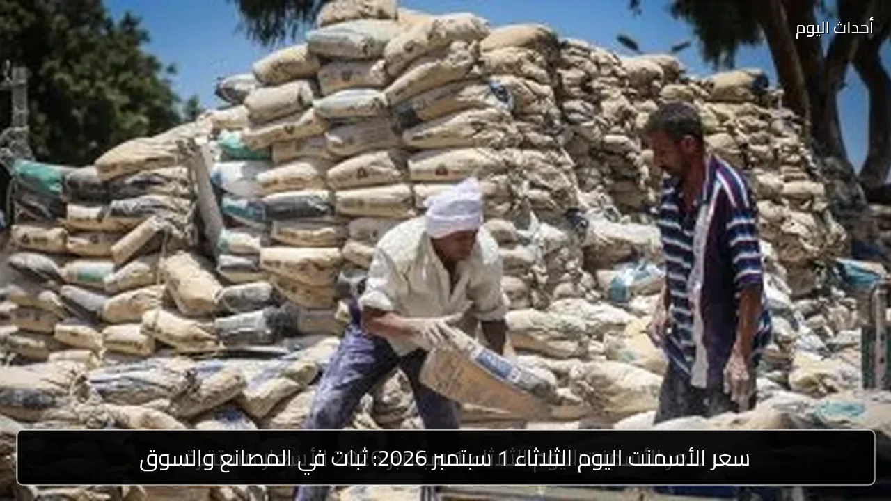 سعر الأسمنت اليوم الثلاثاء 1 سبتمبر 2026: ثبات في المصانع والسوق
