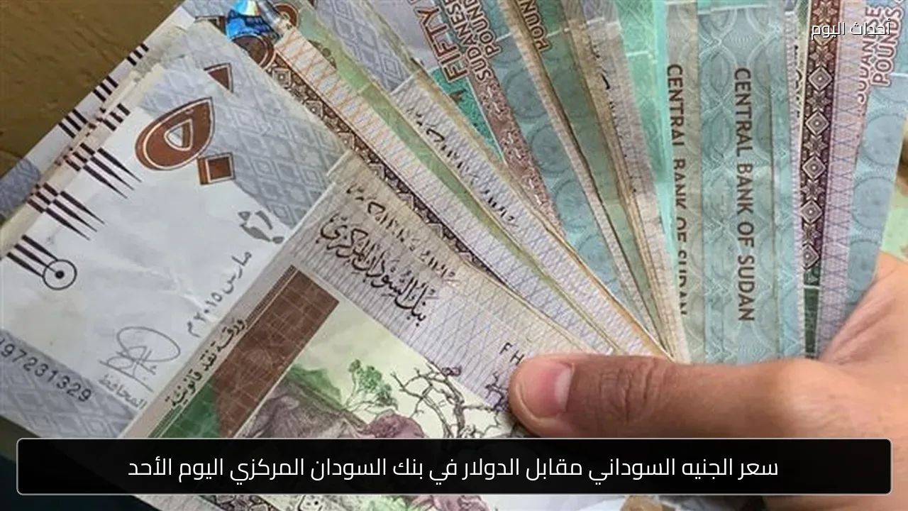 سعر الجنيه السوداني مقابل الدولار في بنك السودان المركزي اليوم الأحد