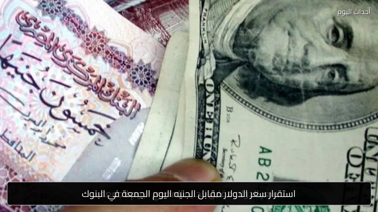 استقرار سعر الدولار مقابل الجنيه اليوم الجمعة في البنوك