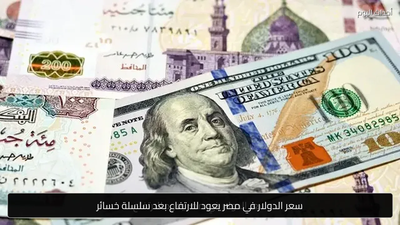 سعر الدولار في مصر يعود للارتفاع بعد سلسلة خسائر