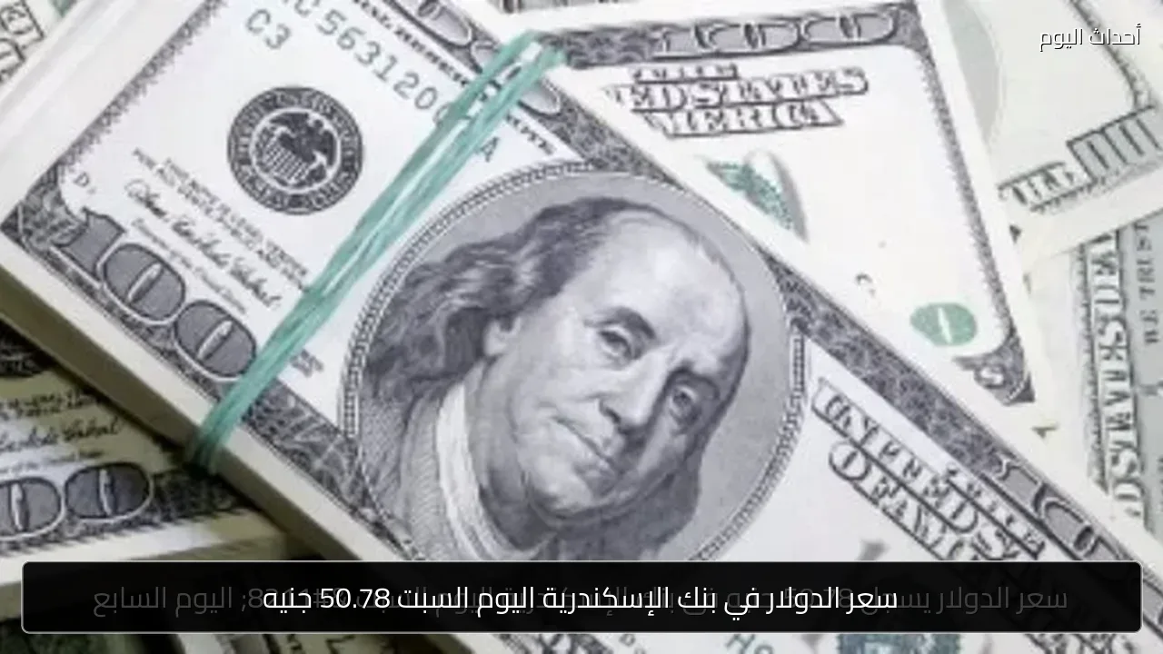سعر الدولار في بنك الإسكندرية اليوم السبت 50.78 جنيه