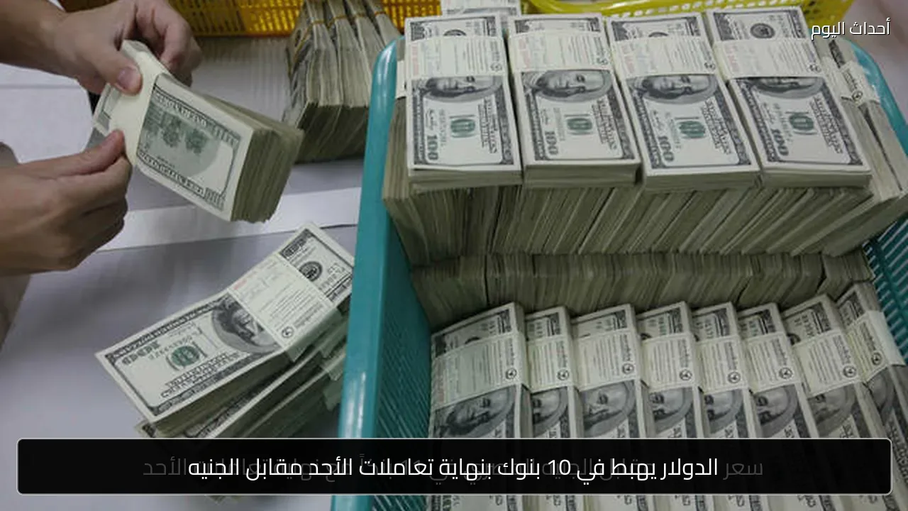 الدولار يهبط في 10 بنوك بنهاية تعاملات الأحد مقابل الجنيه