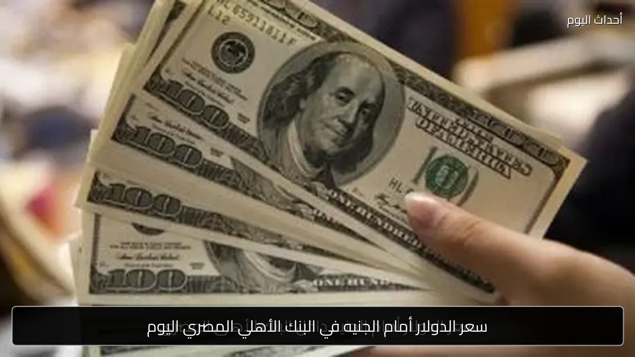 سعر الدولار أمام الجنيه في البنك الأهلي المصري اليوم